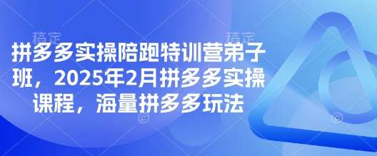 拼多多实操陪跑特训营弟子班，2025年2月拼多多实操课程，海量拼多多玩法-旺仔资源库