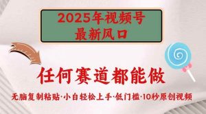 （14453期）2025年视频号新风口，低门槛只需要无脑执行-旺仔资源库