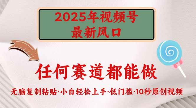 （14453期）2025年视频号新风口，低门槛只需要无脑执行-旺仔资源库