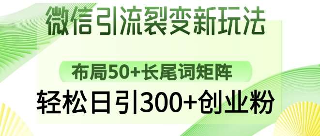 微信引流裂变新玩法：布局50+长尾词矩阵，轻松日引300+创业粉-旺仔资源库