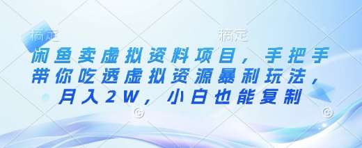 闲鱼卖虚拟资料项目，手把手带你吃透虚拟资源暴利玩法，月入2W，小白也能复制-旺仔资源库