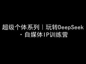超级个体系列，玩转DeepSeek·自媒体IP训练营，deepseek教程-旺仔资源库