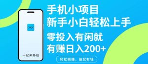 手机小项目新手小白轻松上手零投入有闲就有赚日入200+-旺仔资源库