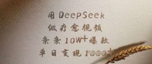 用DeepSeek做疗愈视频,条条10W+爆款,单日变现多张-旺仔资源库
