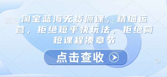 淘宝蓝海无货源课，精细运营，拒绝短平快玩法，拒绝简短课程凑章节-旺仔资源库