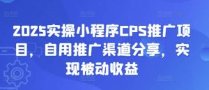 2025实操小程序CPS推广项目，自用推广渠道分享，实现被动收益-旺仔资源库
