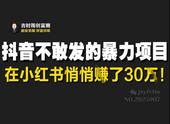 抖音不敢发的暴利项目，在小红书悄悄挣了30W-旺仔资源库