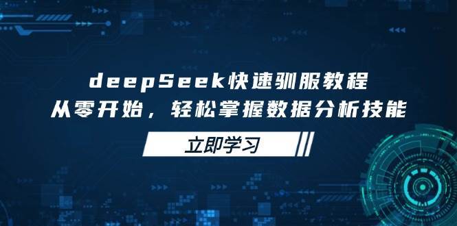 deepSeek快速驯服教程，从零开始，轻松掌握数据分析技能-旺仔资源库