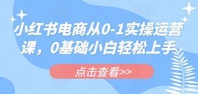 小红书电商从0-1实操运营课，0基础小白轻松上手-旺仔资源库