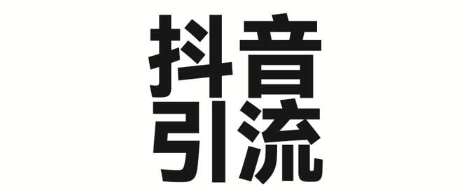 2025年抖音最新暴力引流法，只需一个视频加一段文字，简单操作，单日引300+创业粉-旺仔资源库