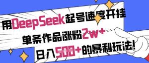 用DeepSeek起号速度开挂，单条作品涨粉2w+，日入5张+的暴利玩法-旺仔资源库