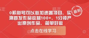 0粉新号可以做的加速器项目，实测首发作品收益100+，1分钟产出原创作品，简单好做-旺仔资源库