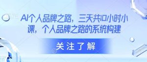 AI个人品牌之路，​三天共10小时小课，个人品牌之路的系统构建-旺仔资源库