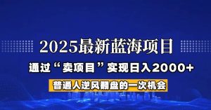 2025年蓝海项目，如何通过“网创项目”日入2000+-旺仔资源库