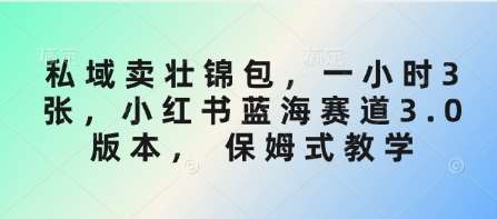 私域卖壮锦包，一小时3张，小红书蓝海赛道3.0版本， 保姆式教学-旺仔资源库