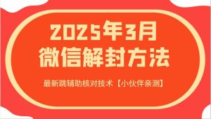 2025年3月微信解封方法 最新跳辅助核对技术【小伙伴亲测】-旺仔资源库