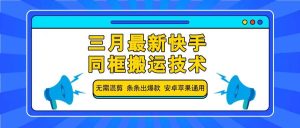 三月最新快手同框搬运技术，无需混剪 条条出爆款 安卓苹果通用-旺仔资源库