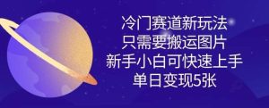 冷门赛道新玩法，只需要搬运图片，新手小白可快速上手，单日变现多张-旺仔资源库