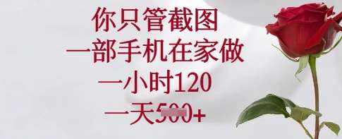 你只管截图，一部手机在家做，一小时120.一天5张【揭秘】-旺仔资源库