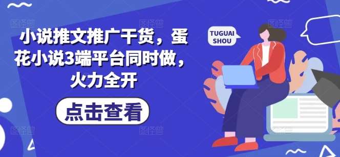 小说推文推广干货，蛋花小说3端平台同时做，火力全开-旺仔资源库