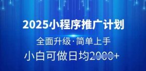 2025小程序推广计划，全面升级，简单上手，日均多张【揭秘】-旺仔资源库