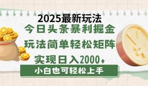 （14120期）今日头条2025最新玩法，思路简单，复制粘贴，轻松实现矩阵日入2000+-旺仔资源库