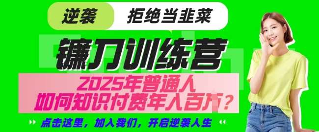 【网创项目终点站-镰刀训练营超级IP合伙人】25年普通人如何通过知识付费实现逆袭【揭秘】-旺仔资源库