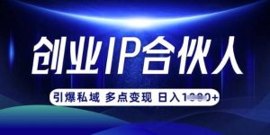 云帆·创业ip合伙人打造3.0，从0到1教你做网创，实现月入过W-旺仔资源库