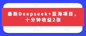 最新Deepseek+蓝海项目，十分钟收益2张-旺仔资源库