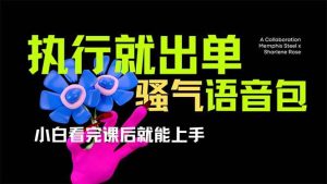（14170期）爆火全网的开车导航骚气语音包,只要执行就出单，小白看完课程就能实操…-旺仔资源库