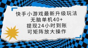 （14166期）快手小游戏最新版升级玩法，新风口，无脑单机日入40+，可批量放大，小…-旺仔资源库