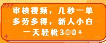 审核视频，几秒一单，多劳多得，新人小白一天轻松3张【揭秘】-旺仔资源库