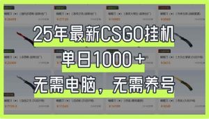 （14178期）25年最新CSGO挂机系统，单日1000+，无需电脑，无需养号，0基础可上手-旺仔资源库