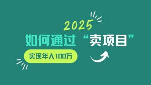 （14176期）2025年如何通过“卖项目”实现年入100万-旺仔资源库