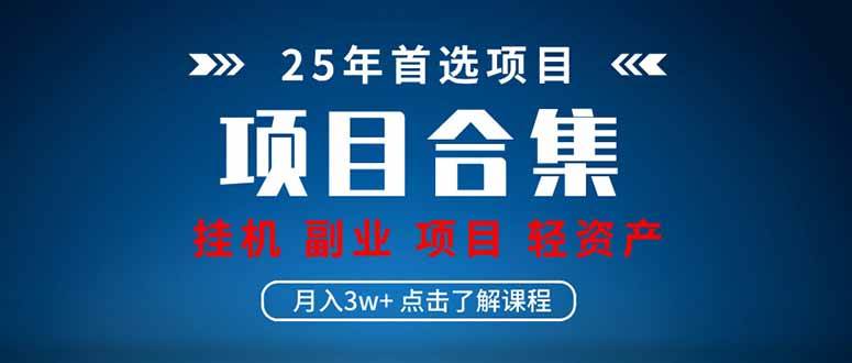 （14175期）2025 实操项目合集 挂机类型 直播类型 轻资产创业类型 课程分享各项目…-旺仔资源库
