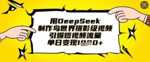 用DeepSeek制作鸟世界摄影级视频，引爆短视频流量，单日变现1k-旺仔资源库