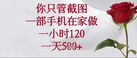 你只管截图，一部手机在家操作，一小时120.一天5张【揭秘】-旺仔资源库