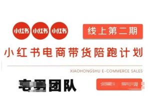 小红书电商带货课2期，月利润20个的小红书电商的有货源，无货源，虚拟产品，付费投流等整套玩法-旺仔资源库