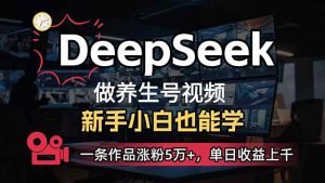（14199期）小白用DeepSeek做养生号，一条作品涨粉5万+，单日收益上千-旺仔资源库