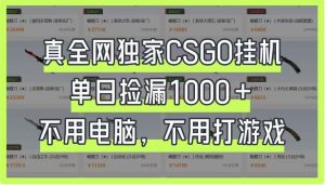 真全网独家CSGO挂机，单日捡漏1000+，不用电脑，不用养号-旺仔资源库