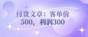 付费文章：客单价500，利润300-旺仔资源库