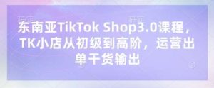 东南亚TikTok Shop3.0课程，TK小店​从初级到高阶，运营出单干货输出-旺仔资源库