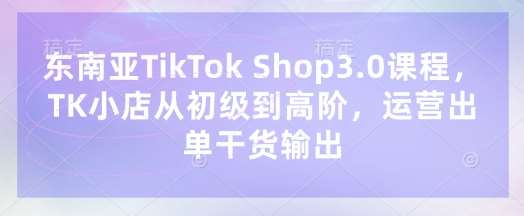 东南亚TikTok Shop3.0课程，TK小店​从初级到高阶，运营出单干货输出-旺仔资源库