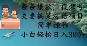 条条爆款，视频号夫妻搞笑对话项目，简单操作，小白轻松日入3张-旺仔资源库