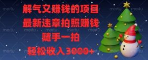 解气又挣钱的项目，最新违章拍照挣钱，随手一拍，轻松收入数张【揭秘】-旺仔资源库