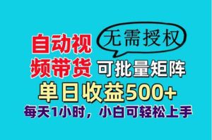 （14229期）自动视频带货，可批量矩阵，单日收益500+、轻松实现睡后收益，小白可…-旺仔资源库
