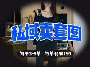 私域卖套图每天3-5单，每单利润99-旺仔资源库