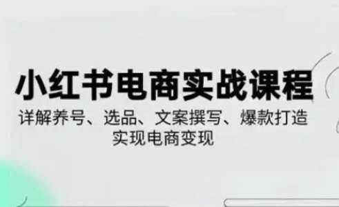 小红书从0-1实操课(2023-2025)，详解养号、选品、文案撰写、爆款打造实现电商变现-旺仔资源库