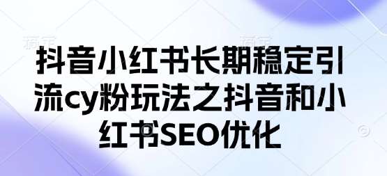抖音小红书长期稳定引流cy粉玩法之抖音和小红书SEO优化-旺仔资源库