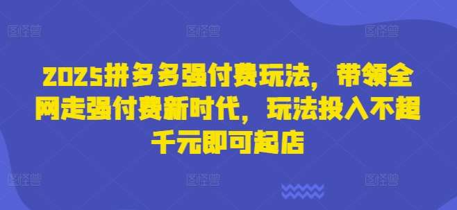 2025拼多多强付费玩法，带领全网走强付费新时代，玩法投入不超千元即可起店-旺仔资源库